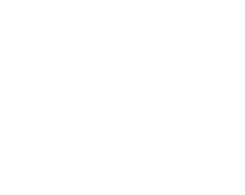 FX 